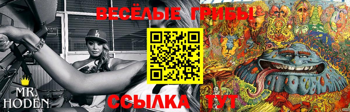 Галлюциногенные грибы Psilocybe Ханты-Мансийск